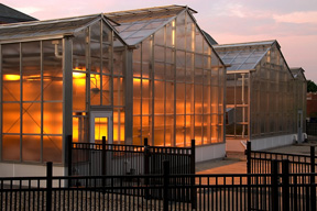 lighted nursery greenhouses