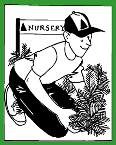 plant nursery